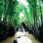 Bay Mau Coconut Forest things to do with basket boat Hoi An experience