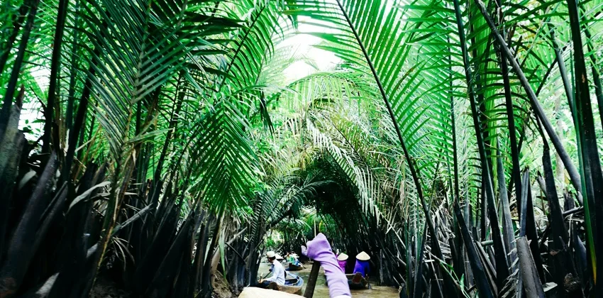 Bay Mau Coconut Forest things to do with basket boat Hoi An experience