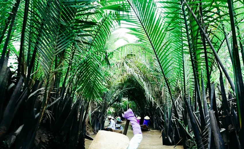 Bay Mau Coconut Forest things to do with basket boat Hoi An experience