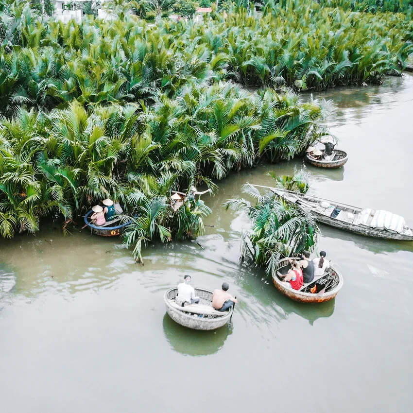 scenic view of Bay Mau Coconut Forest with basket boats and palm trees