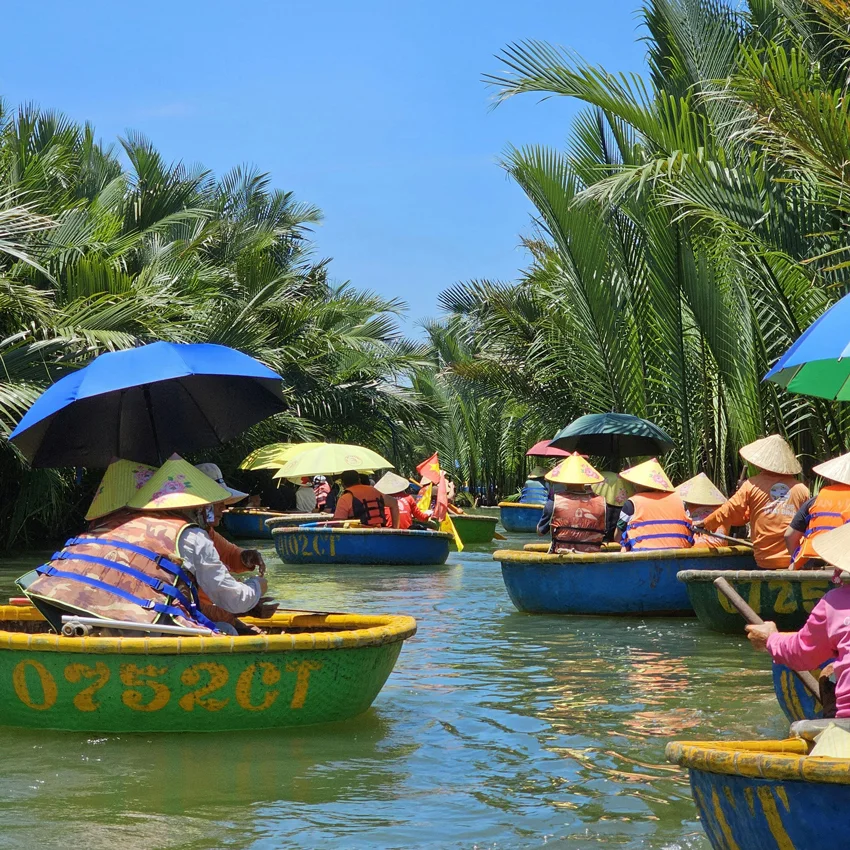coconut forest in cam thanh village hoi an vietnam