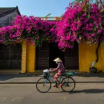 hoi an old town street yellow houses vietnam
