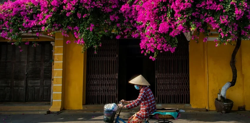 hoi an old town street yellow houses vietnam