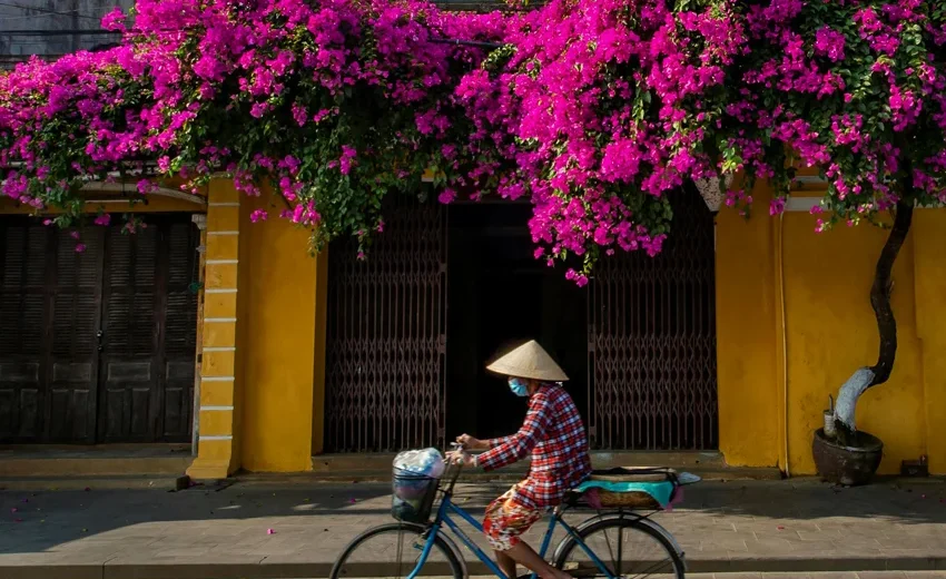 hoi an old town street yellow houses vietnam