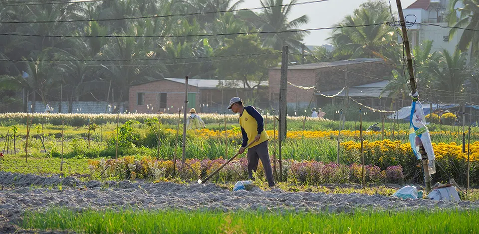 authentic local experiences in hoi an you should try in Hoi An Vietnam