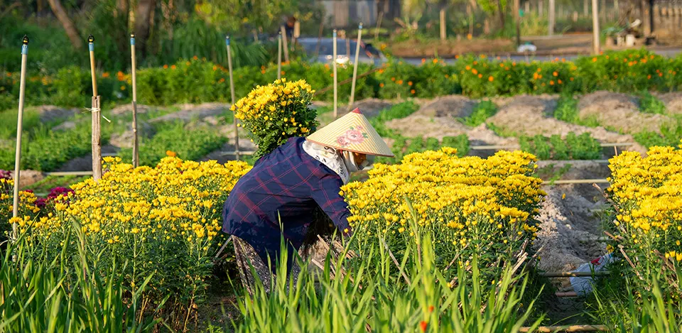 cam thanh eco village activities guide in Hoi An Vietnam