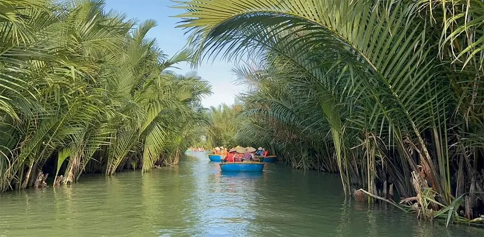 exploring coconut forest waterways in hoi an in Hoi An Vietnam