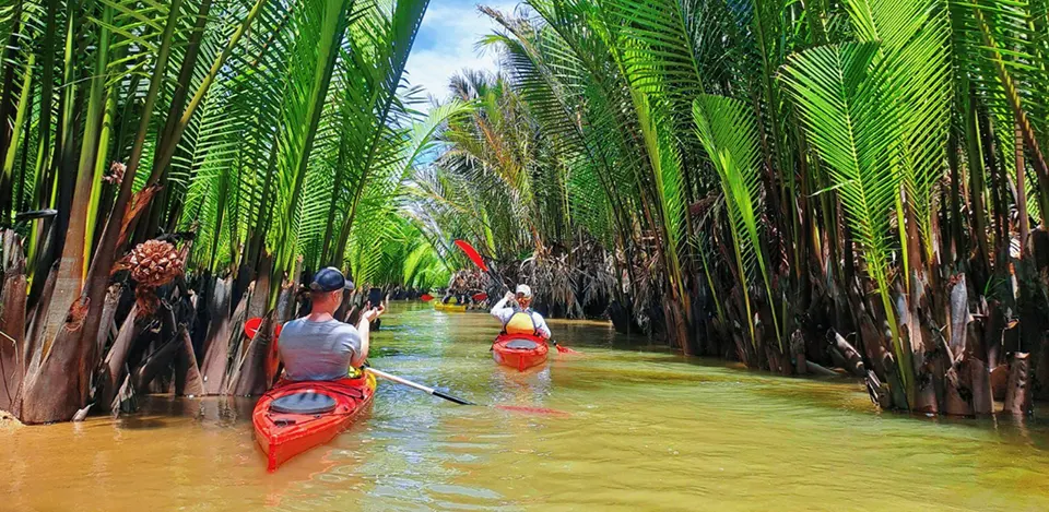 mangrove forest hoi an experience in Hoi An Vietnam