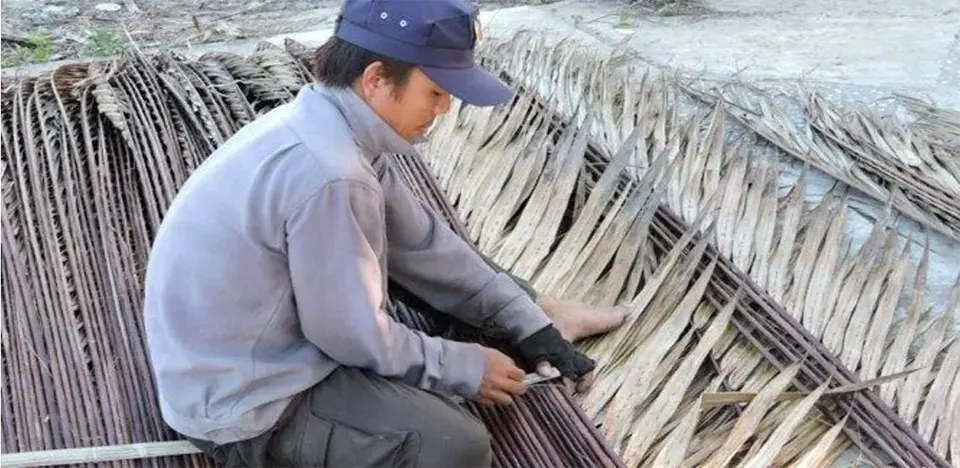 rural hoi an experience in cam thanh in Hoi An Vietnam